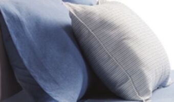 Walmart The blue whale pillow offer