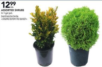 Lowe's Assorted shrubs offer