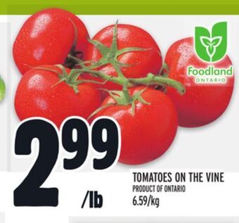 Metro Tomatoes on the vine offer