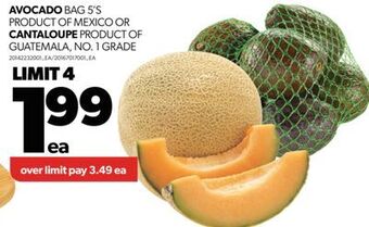 Real Canadian Superstore Avocado bag 5's or cantaloupe offer