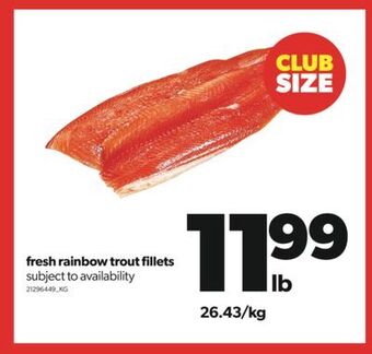 Real Canadian Superstore Fresh rainbow trout fillets offer