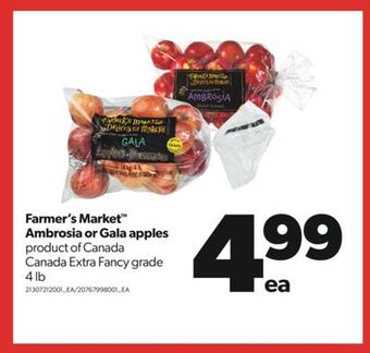 Real Canadian Superstore Farmer's market™ ambrosia or gala apples, 4 lb offer