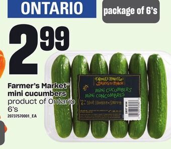 Loblaws Farmer's market mini cucumbers, 6's offer