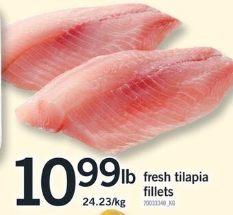 Fortinos Fresh tilapia fillets offer