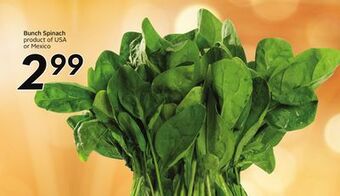Sobeys Bunch spinach offer