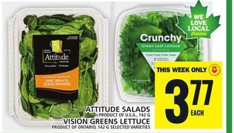 Food Basics Attitude salads or vision greens lettuce offer