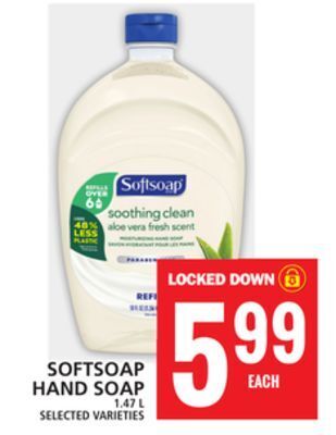 Food Basics Softsoap hand soap offer