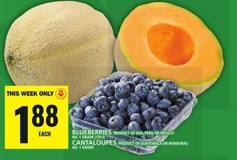 Food Basics Blueberries or cantaloupes offer
