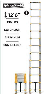 Canadian Tire Metaltech telescopic ladder offer