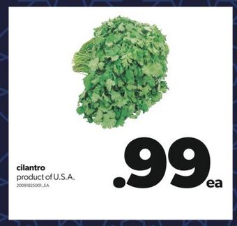 Real Canadian Superstore Cilantro offer