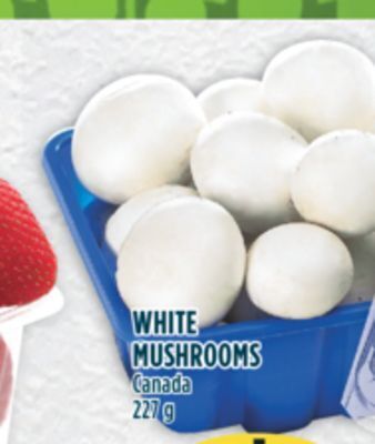 Marché Adonis White mushrooms offer