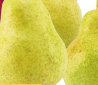 Giant Tiger 2 lb bartlett pears offer