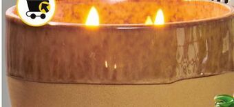 Giant Tiger Ceramic candle offer