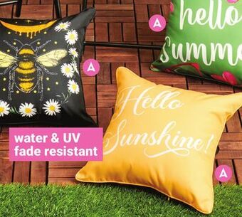Giant Tiger Outdoor cushion offer