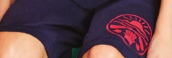 Giant Tiger Boys shorts offer