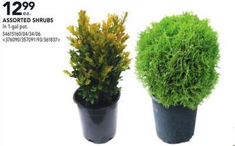 RONA Assorted shrubs offer