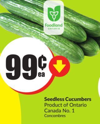 FreshCo Seedless cucumbers product of ontario canada no.1 offer