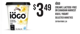 Zehrs Markets Iögo creamy, lactose-free or canadian harvest 650 g, yogurt offer
