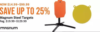 Cabela's Magnum steel targets offer