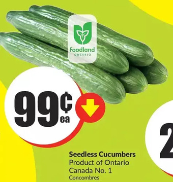 FreshCo Seedless cucumbers offer