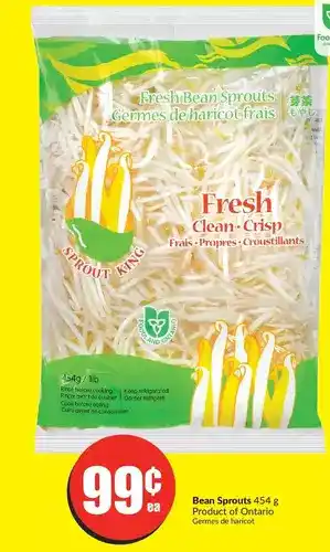 FreshCo Bean sprouts offer