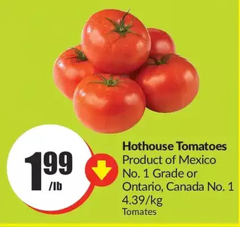 FreshCo Hothouse tomatoes offer