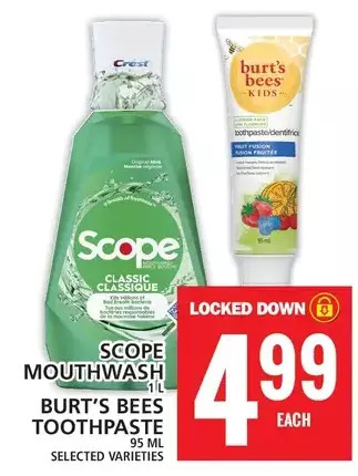Food Basics Scope mouthwash | burt's bees toothpaste offer