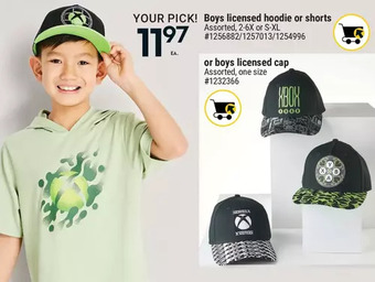 Giant Tiger Boys licensed hoodie offer