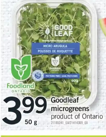 Fortinos Goodleaf microgreens offer