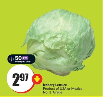 FreshCo Iceberg lettuce offer