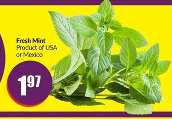 FreshCo Fresh mint offer