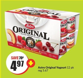 FreshCo Astro original yogourt 12 pk offer