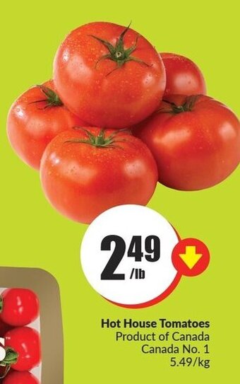 FreshCo Hot house tomatoes offer