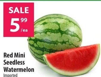 Co-op Red Mini Seedless Watermelon offer