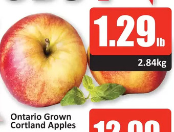 Starsky Ontario grown cortland apples offer