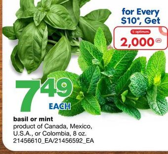 Wholesale Club Basil or mint, 8 oz. offer
