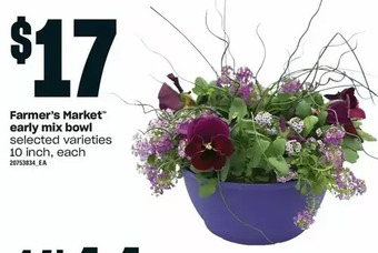 Independent Grocer Farmer's market early mix bowl offer