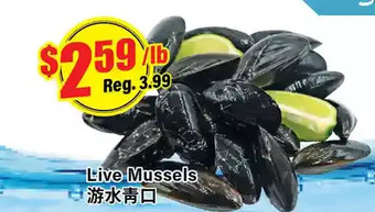 Btrust Supermarket Live mussels offer