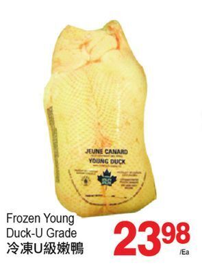 T&T Supermarket Frozen young duck-u grade offer