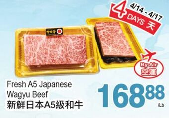 T&T Supermarket Fresh a5 japanese wagyu beef offer