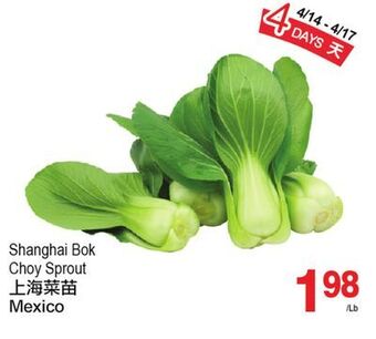 T&T Supermarket Shanghai bok choy sprout offer