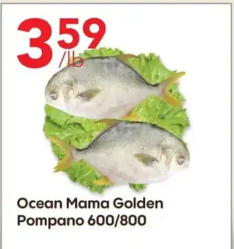 Ocean mama golden pompano 600/800 per lb