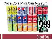 Nations Fresh Foods Coca cola mini can offer
