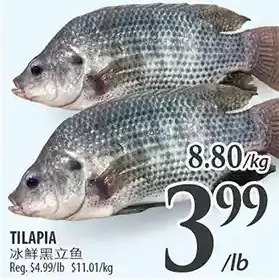 Al Premium Food Mart Tilapia offer