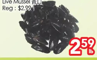 Superking Supermarket Live mussel offer