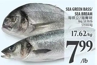 Al Premium Food Mart Sea green bass/sea bream offer