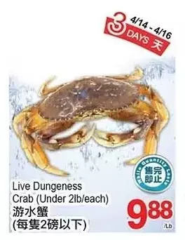 T&T Supermarket Live dungeness crab offer