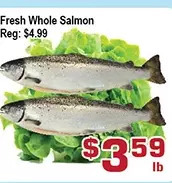 Top Food Supermarket Fresh whole salmon offer