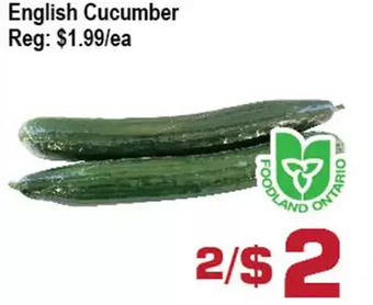 Top Food Supermarket English cucumber offer
