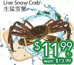 Ample Food Market Live snow crab offer
